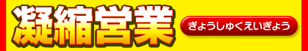 Ẕ̌Ķ