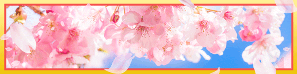 4ѥʡʽջ͡