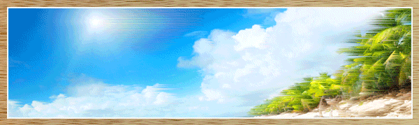 ī9�������ץ�ʲơ�