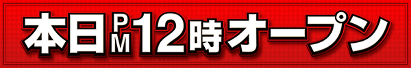 PM12ץ