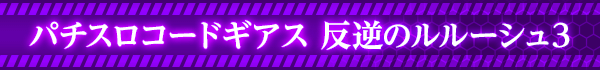 �ѥ����������ɥ����� ȿ�դΥ�롼����3