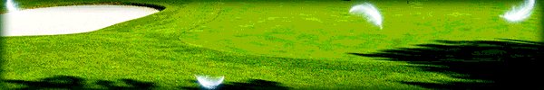 ���ޥ��� BIRDIE WING ��Golf Girls' Story��