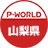 P-WORLD